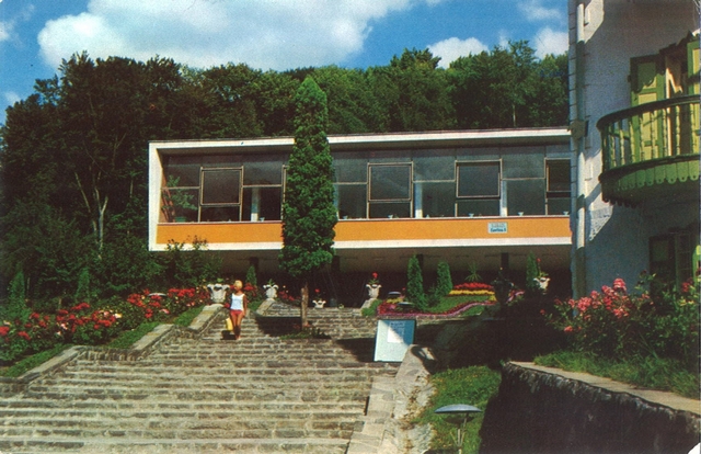2114-1 - Sovata. Cantina nr 5